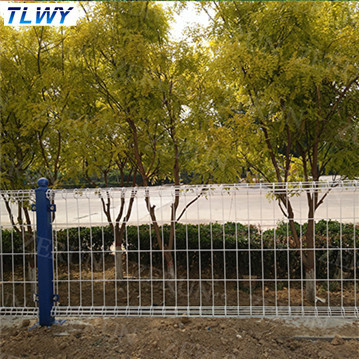 China Anping TLWY 30 años de polvo de la fábrica cubrió la cerca de seguridad doble del alambre