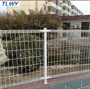 China Anping TLWY 30 años de polvo de la fábrica cubrió la cerca de seguridad doble del alambre