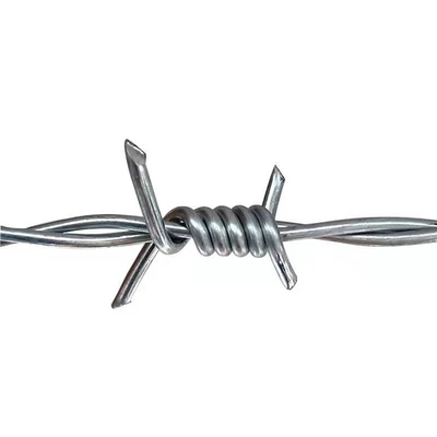 El hierro de TLWY galvanizó el alambre de púas de la maquinilla de afeitar que cercaba ISO9001