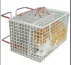 el pvc al aire libre del metal de la malla de alambre de 2m m cubrió la jaula galvanizada de la exhibición del animal doméstico