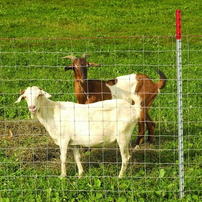 ISO9001 galvanizó el ganado que cultivaba el alambre Mesh Fence 200m/Roll