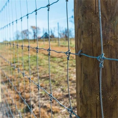El PVC de alta resistencia de la cerca de alambre de la granja del campo cubrió con el agujero de 100m m