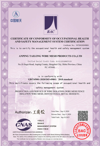 China Anping Tailong Wire Mesh Products Co., Ltd. certificaciones